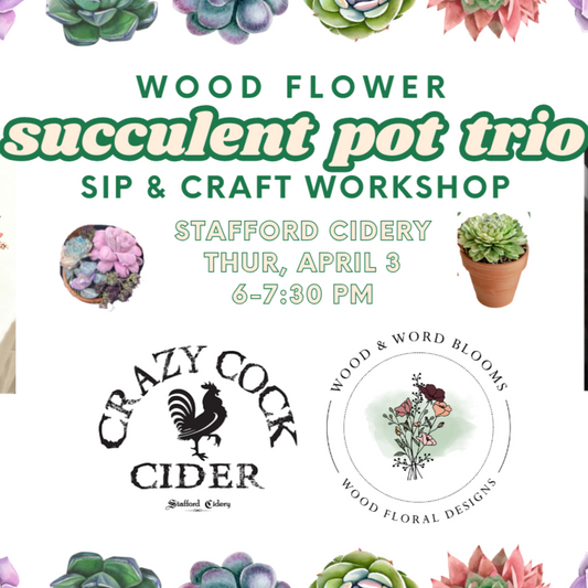 Sola Wood Succulent Pot Trio Sip & Craft| Stafford Cidery | April 3